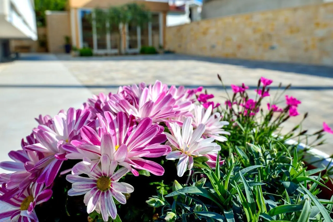 Apartments Villa Karla Zadar Kroatien