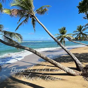 les-bungalows-de-la-plage.comcaribbean.com/